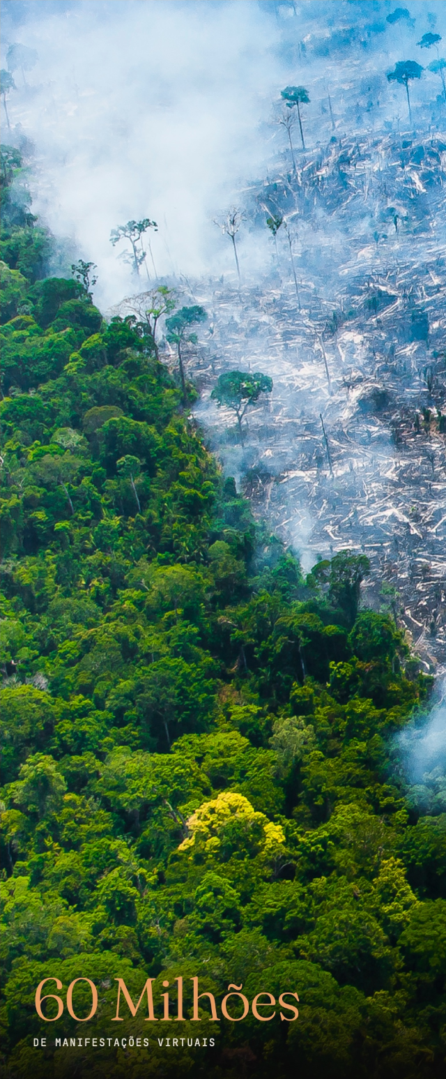 Floresta amazônica com área desmatada